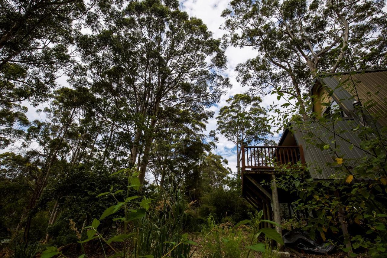 Green Leaves Cabin Denmark Ngoại thất bức ảnh